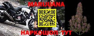 гидра Гагарин
