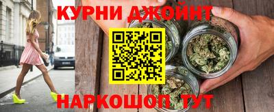 гидра Гагарин