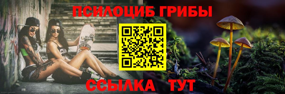 Псилоцибиновые грибы GOLDEN TEACHER Белорецк
